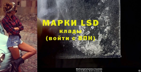 прущие грибы Дмитриев