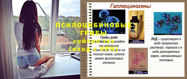 дживик Дмитровск
