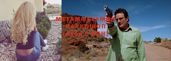 прущие грибы Дмитриев