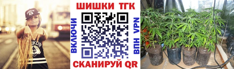 Бошки марихуана OG Kush Купить Черняховск